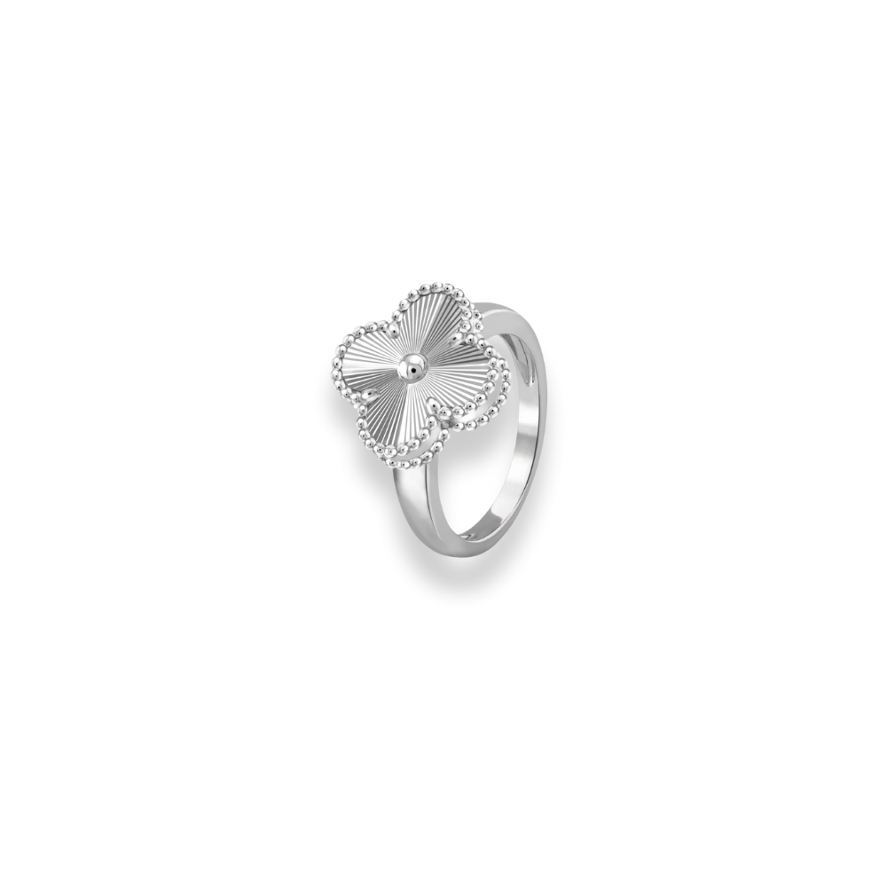 Apple Watch Band Stainless Steel – Jolie Chance Ring